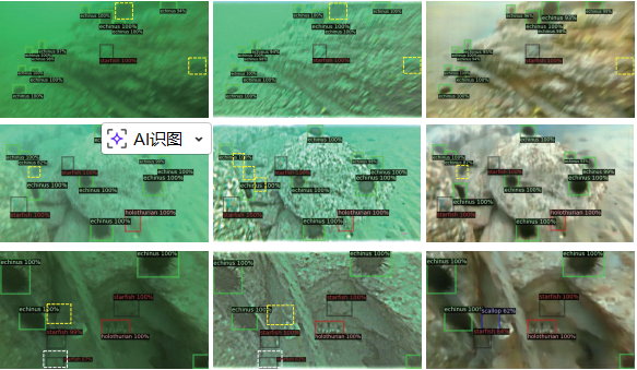 underwater_object_detection